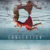 Levitation 2 album lyrics, reviews, download