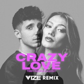 Crazy Love (VIZE Remix) artwork