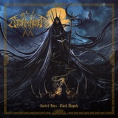 Internal Fulmination of the Grand Deceivers artwork