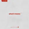 What It Means - EP album lyrics, reviews, download