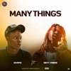 Many things (feat. Seyi Vibez) - Single