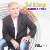 Amor a Três Vol: 11