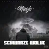Schwarze Wolke (feat. Geeno) song lyrics