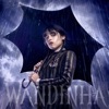 WANDINHA FUNK (I'll DANCE WITH MY HANDS) - Single