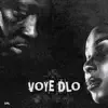 VOYE DLO (feat. Jessie Woo & Eddy Francois) - Single album lyrics, reviews, download