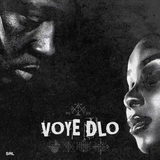 VOYE DLO (feat. Jessie Woo & Eddy Francois) - Single by Wyclef Jean album reviews, ratings, credits