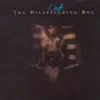The Disappearing Boy album lyrics, reviews, download