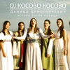 Oj Kosovo Kosovo - Single