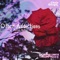 Other Addictions (feat. Darrion DuBay) - Chris Gauge lyrics