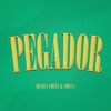 Pegador - Single