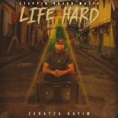 Life Hard artwork