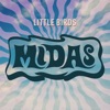 Little Birds - Single