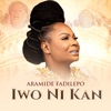 Iwo Ni Kan - Single
