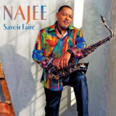 Najee - Dr. Doolittle (feat. Frank Wilkens)