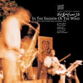 In the Shade of the Wind artwork