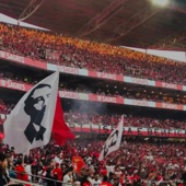 Benfica Chants 5 artwork
