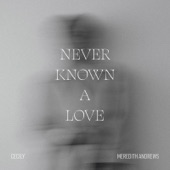 Never Known a Love artwork