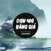 Cơn Mưa Băng Giá Remix artwork