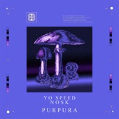 Purpura artwork