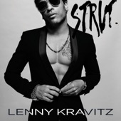 Lenny Kravitz - The Chamber