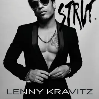 The Pleasure and the Pain by Lenny Kravitz song reviws