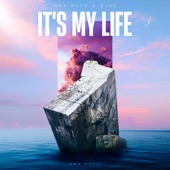 It's My Life (Dance Edit) artwork