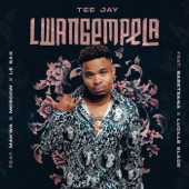 Lwangempela (feat. Basetsana, Lucille Slade, Makwa, Moscow & Le Sax) artwork