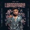 Lwangempela (feat. Basetsana, Lucille Slade, Makwa, Moscow & Le Sax) artwork