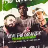 Nem Tão Grande pra Não Te Machucar (feat. DJ K & Mc Diguin) - Single album lyrics, reviews, download