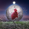 CORAZÓN CRUZADO - Single