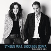 The Goodbye Song (feat. Dorka Shodeinde) [Radio Edit] artwork