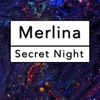 Secret Night - Single