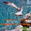 Back In Time - Single