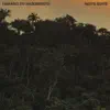 Solo As Onze (Noite Suite) [feat. Vittor Santos e Orquestra & Arthur Verocai] - Single album lyrics, reviews, download