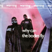 Why Can the Bodies Fly artwork