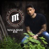 Walkaway Joe (The Bootlegger Sessions) - Single