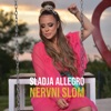 Nervni Slom - Single