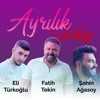 Ayrılık Şarkısı - Single