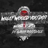 What Would You Do? (feat. Gavin Rossdale) artwork