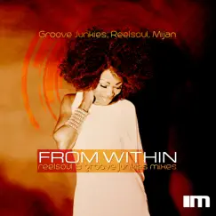 From Within by Groove Junkies, Reelsoul & Mijan album reviews, ratings, credits