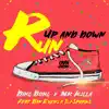 Run Up and Down (feat. Dan Evens & ZJ Sparks) - Single album lyrics, reviews, download