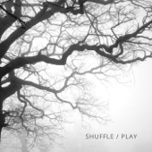 Shuffle / Play artwork