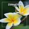 Endless Bridge (Extended Mix) - Eran Hersh lyrics