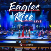 Eagles Rise (Live) artwork