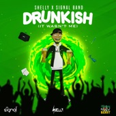 Drunkish (It Wasn't Me) (feat. Signal Band) artwork