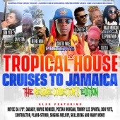 Tropical House Cruises to Jamaica the Reggae Collector's Edition artwork