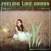 Feeling Like Grass - Single