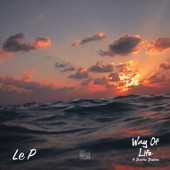 Way of Life (feat. Desirée Dawson) artwork