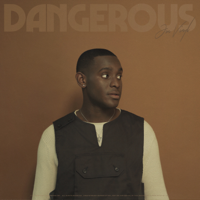 Jon Vinyl - Dangerous artwork