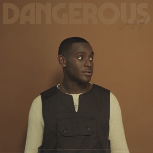Dangerous - Single